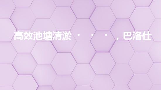 高效池塘清淤，巴洛仕設(shè)備助您一臂之力